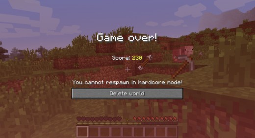 A first spawn in Minecraft