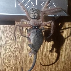 A friend :)