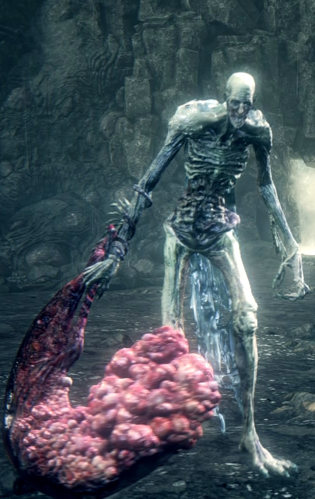 Kos