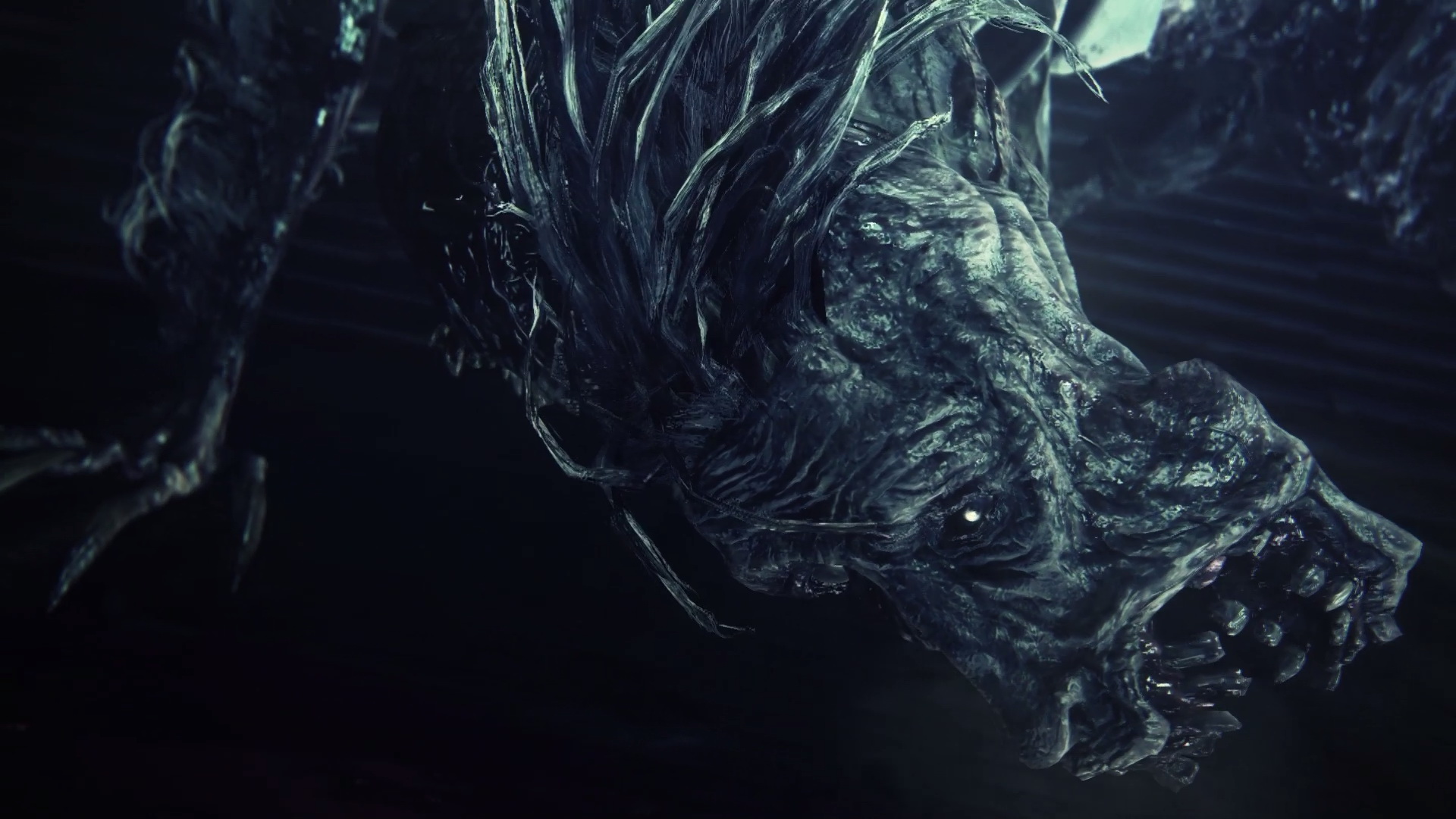 Ludwig