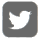 Twitter_icon