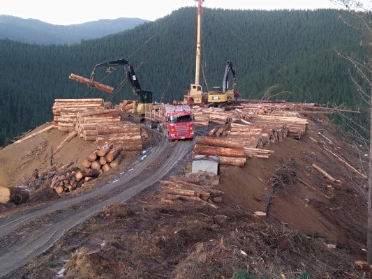 Skid site