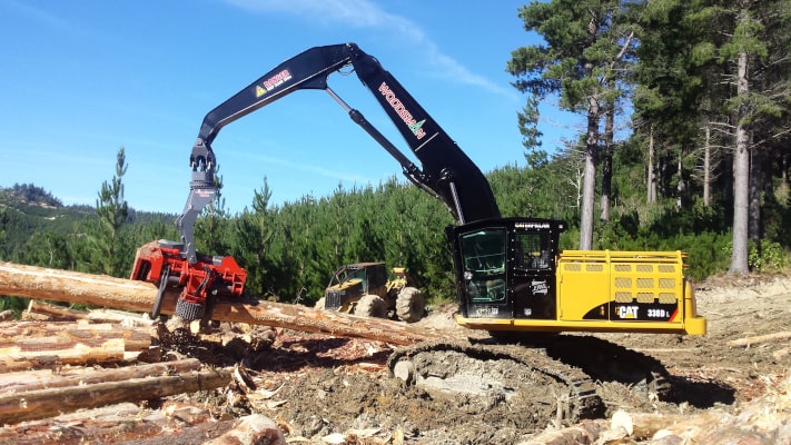 Woodsman processing
